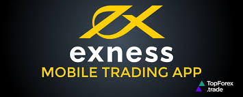 Download Exness Mt4 For Pc 23